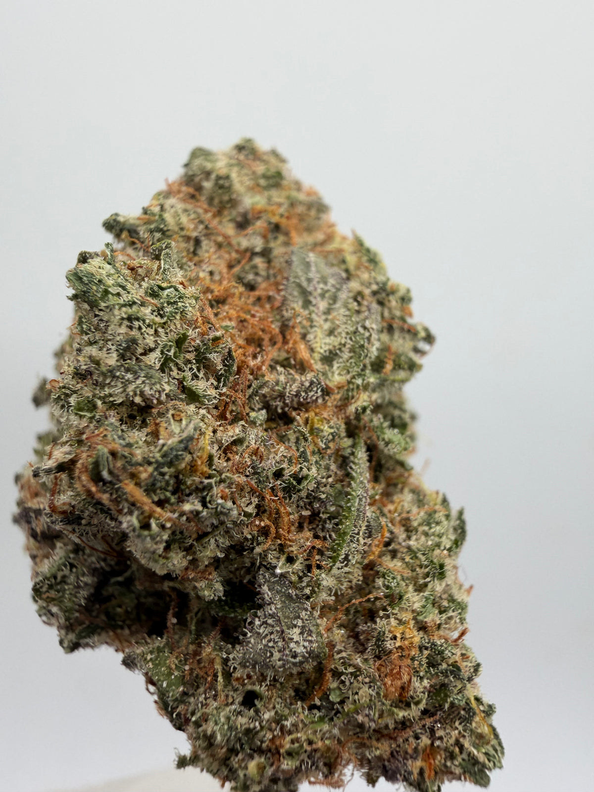 Amnesia x OG Kush CBD – Flor CBD californiana premium