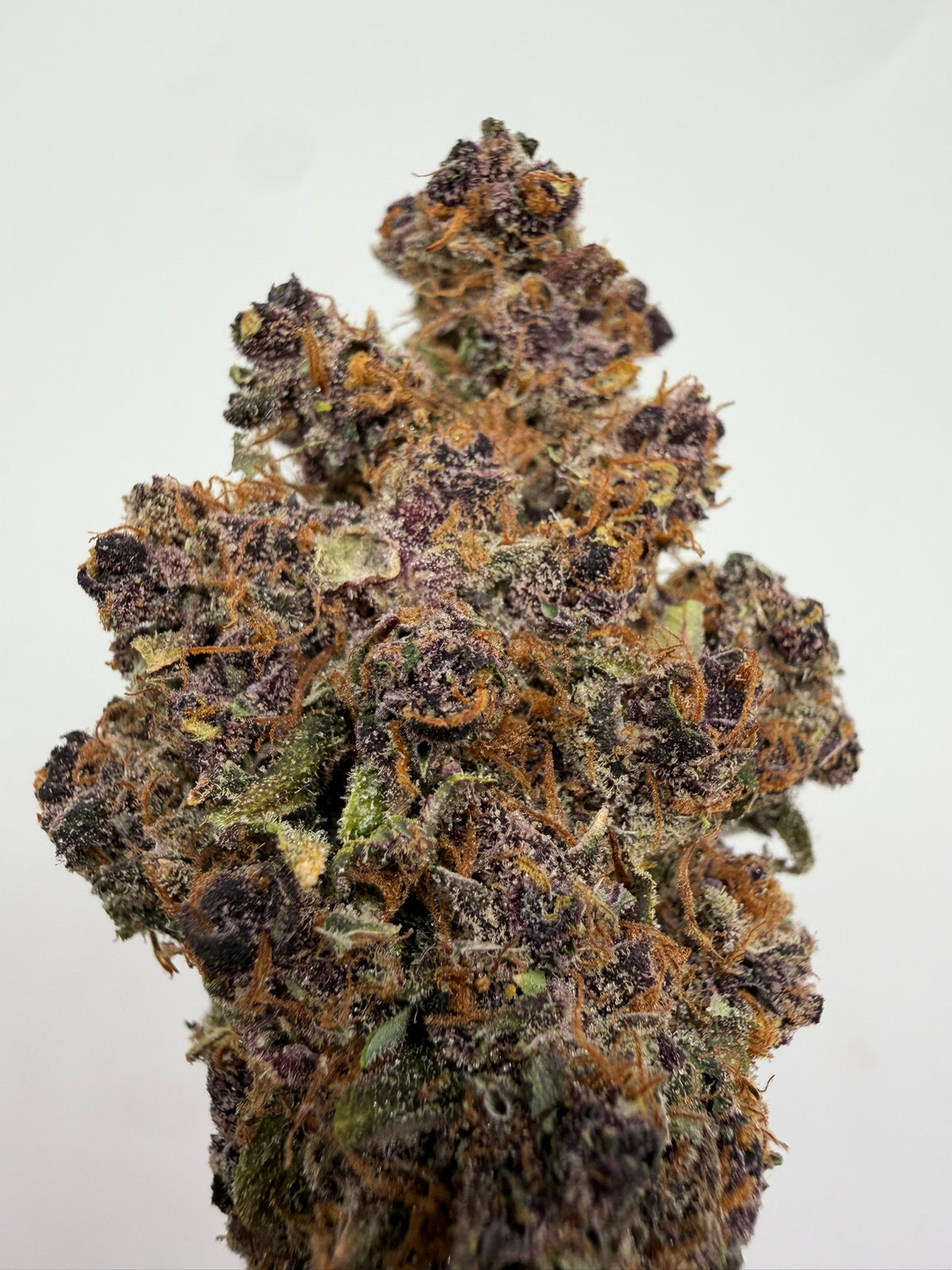 Purple Haze CBD Californiana – Flor CBD premium