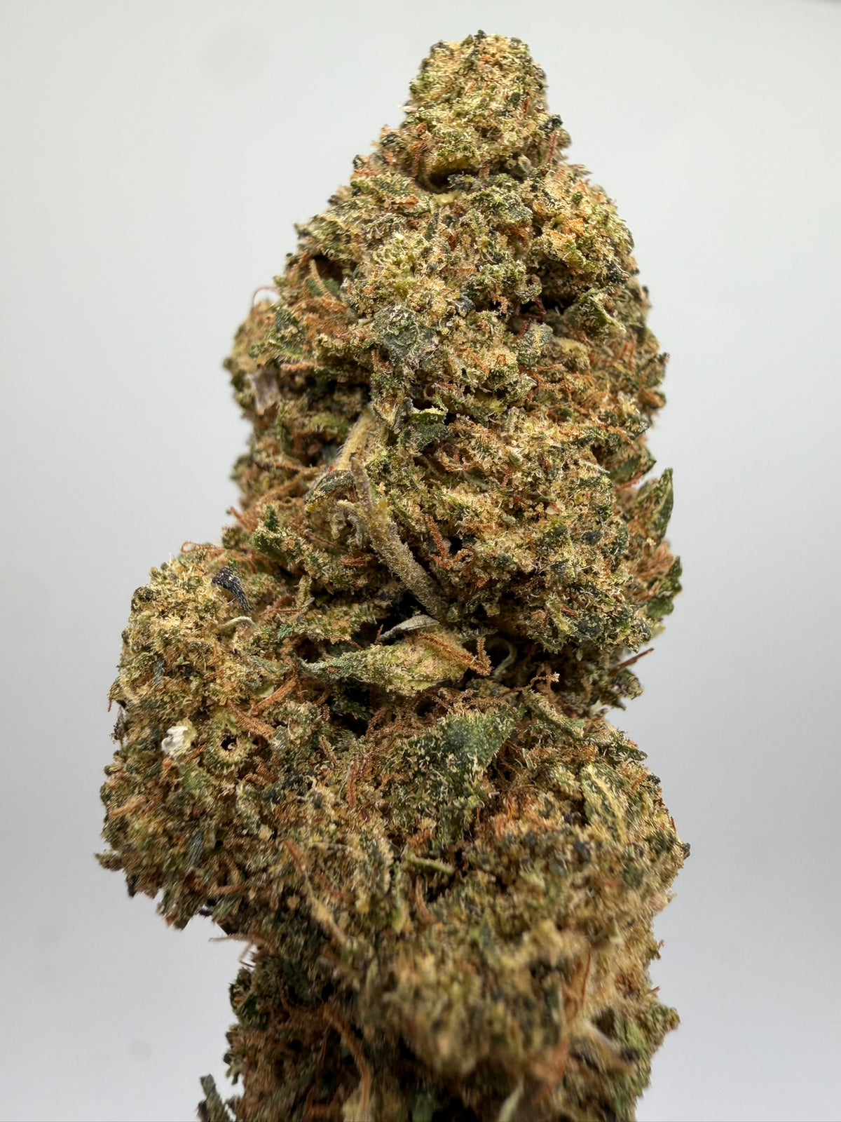Medellín CBD Greenhouse – Flor CBD barata