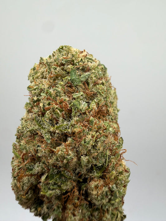 Orange Sherbet CBD Hidropónica – Flor CBD indoor