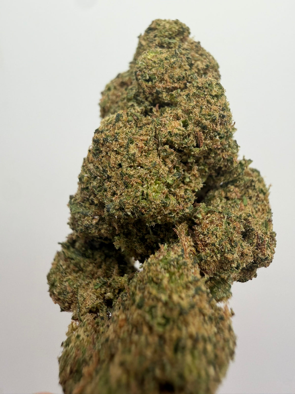 Alien Kush 10-OH Hidropónica – Flor 10-OH