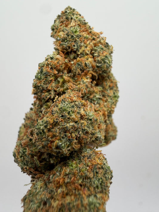 Mango 10-OH Hidropónica – Flor 10-OH