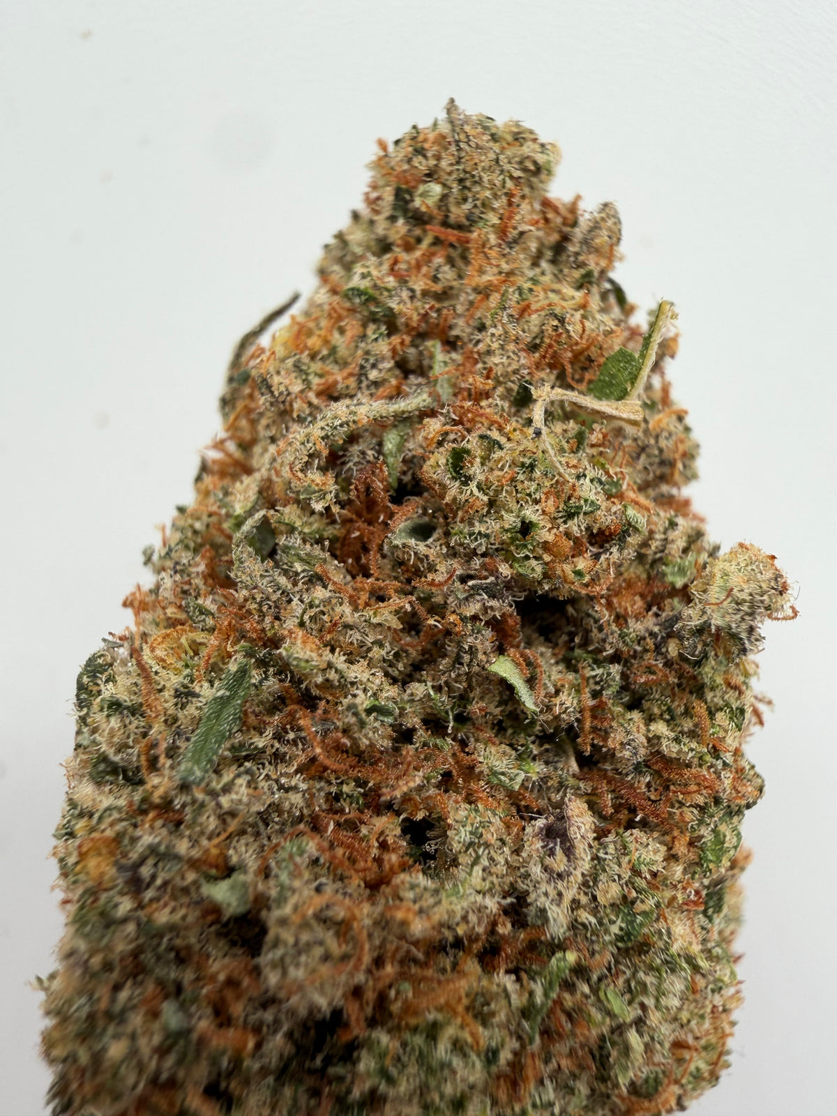 Cream Caramel CBD – Flor CBD californiana premium