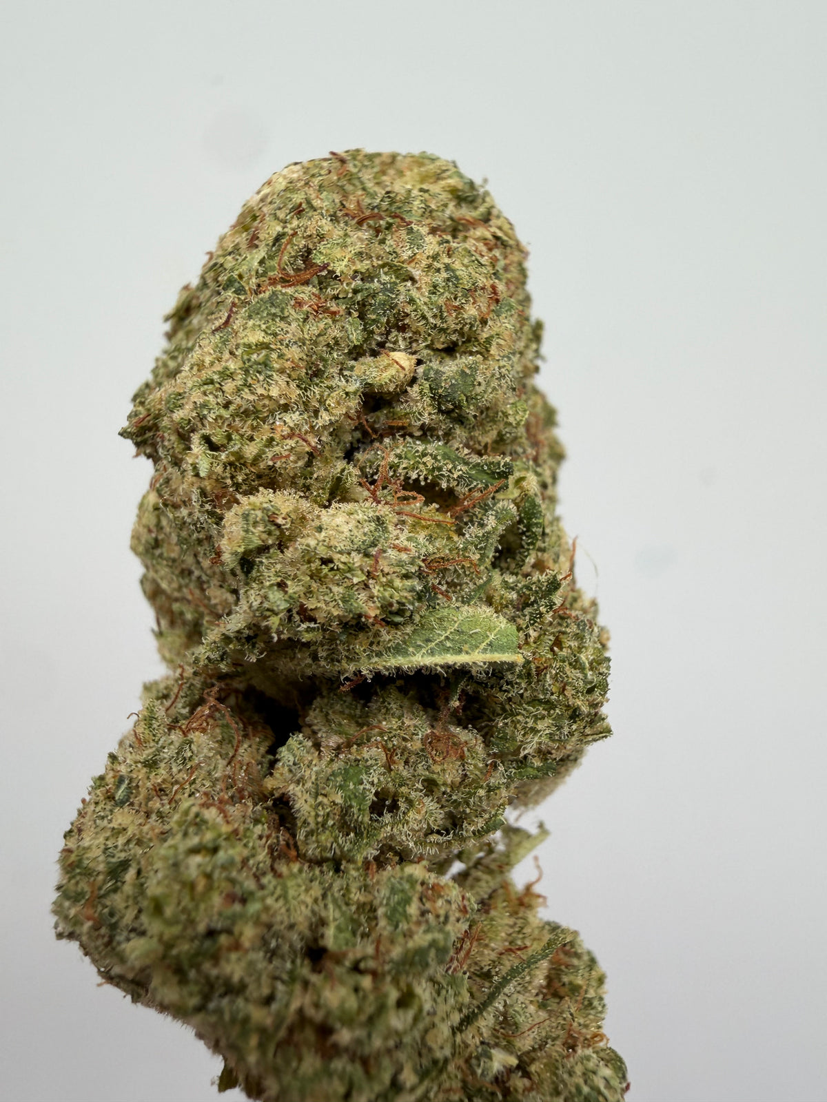Wedding Cake CBD Hidropónica – Flor CBD indoor