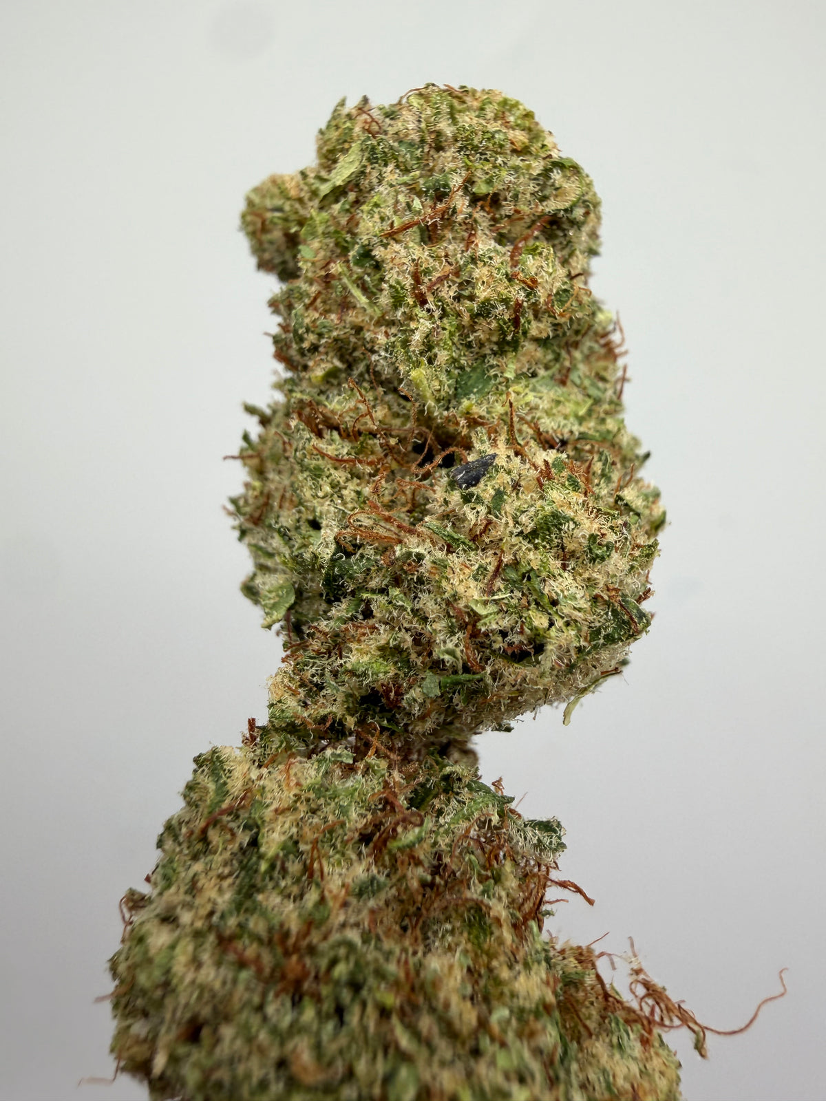 Orange Sherbet CBD Hidropónica – Flor CBD indoor