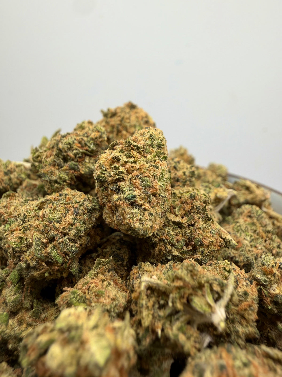 Mini Buds Gelato CBD Hidropónicos – Cogollos pequeños indoor