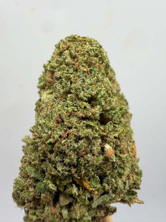 Berry Pie CBD Greenhouse – Flor CBD barata