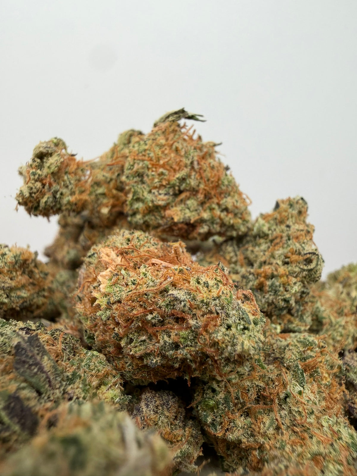 Mini Buds Amnesia x OG Kush CBD Californiana – Flores pequeñas premium