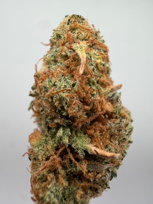 Mini Buds Amnesia x OG Kush CBD Californiana – Flores pequeñas premium