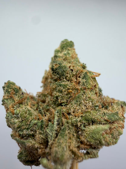 Mini Buds Amnesia CBD Hidropónicos – Cogollos pequeños indoor