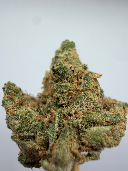 Mini Buds Amnesia CBD Hidropónicos – Cogollos pequeños indoor