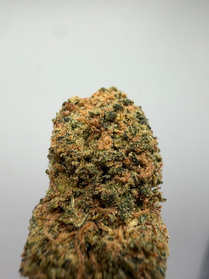 Mini Buds Gelato CBD Hidropónicos – Cogollos pequeños indoor