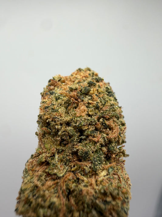 Mini Buds Gelato CBD Hidropónicos – Cogollos pequeños indoor