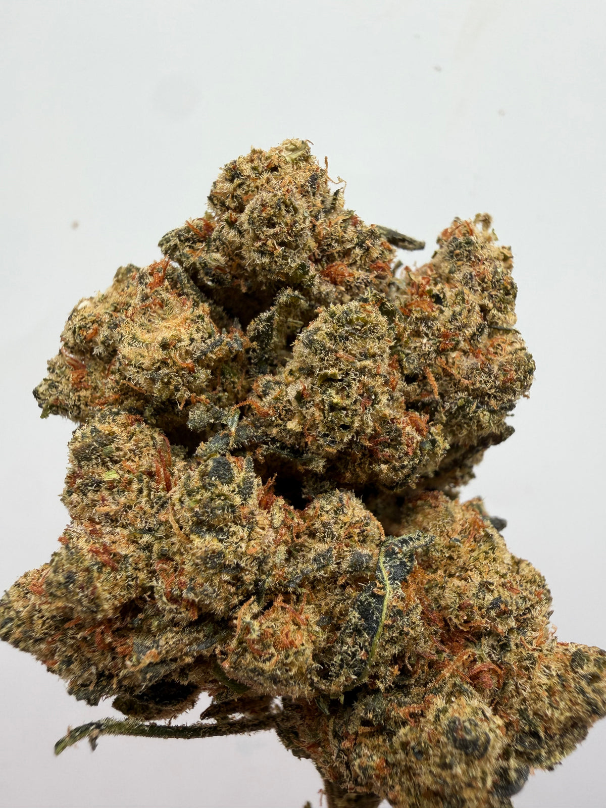 Amnesia 10-OH Hidropónica – Flor 10-OH