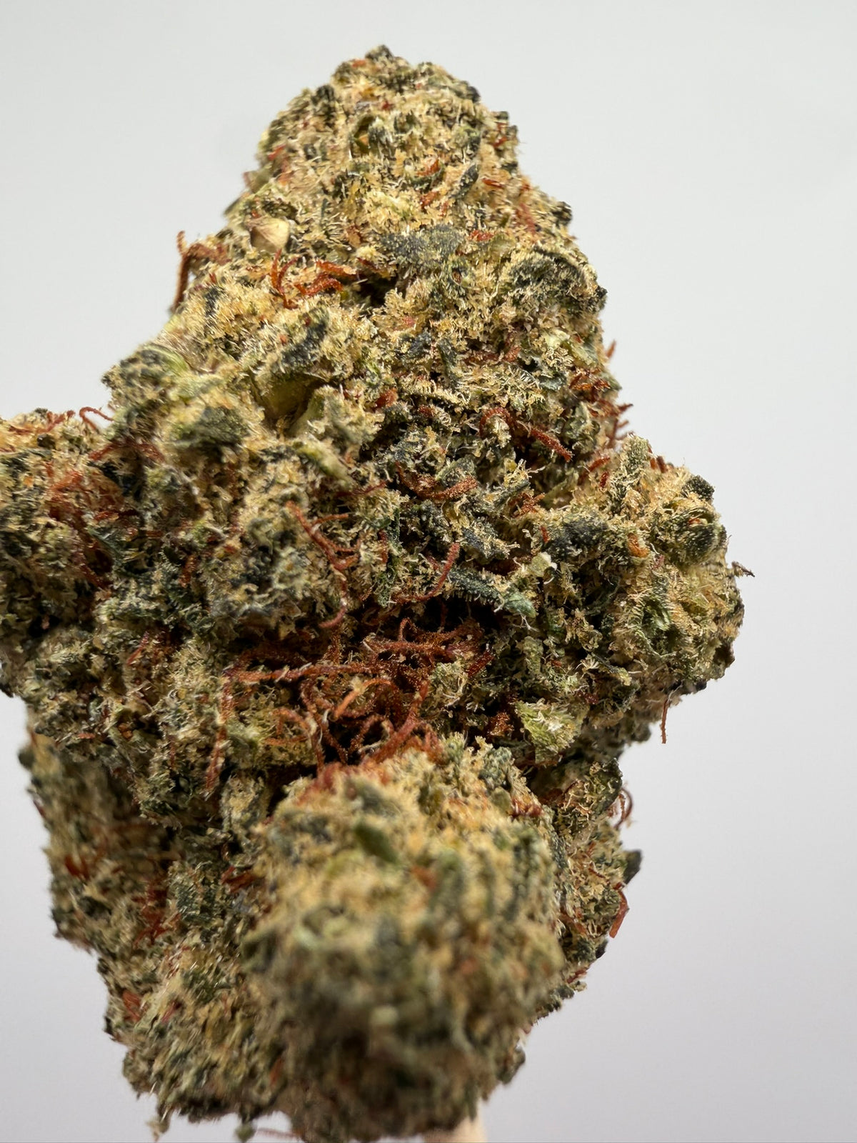 Sunset Sherbet CBD Greenhouse – Flor CBD barata