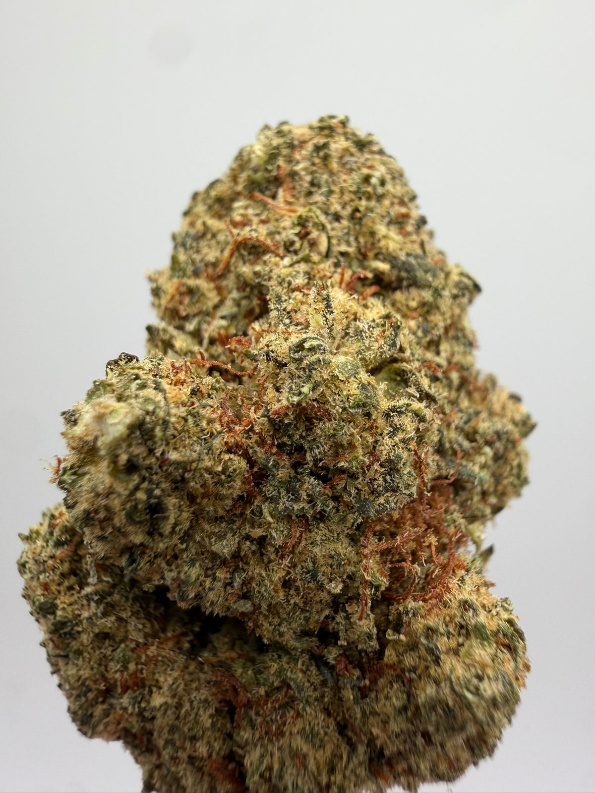 Sunset Sherbet CBD Greenhouse – Flor CBD barata