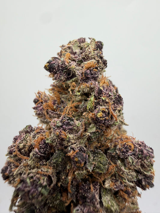Purple Haze CBD Californiana – Flor CBD premium