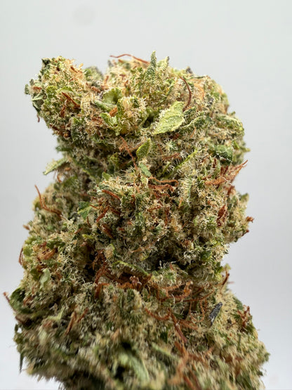Orange Sherbet CBD Hidropónica – Flor CBD indoor