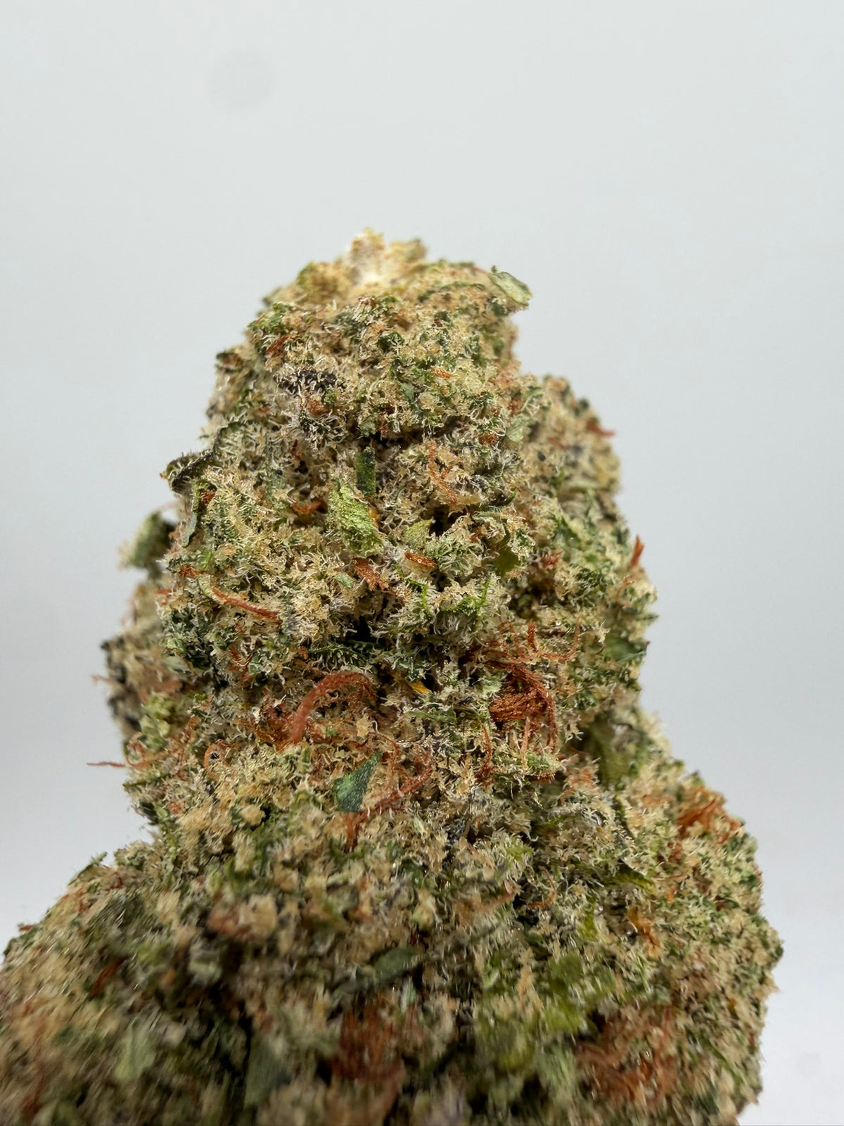 Cheese CBD Californiana – Flor CBD premium