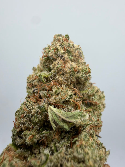 Cheese CBD Californiana – Flor CBD premium