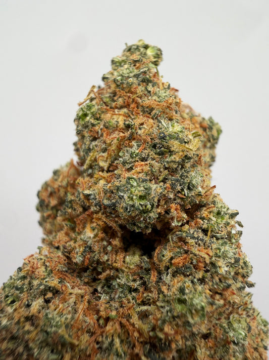 Mango 10-OH Hidropónica – Flor 10-OH