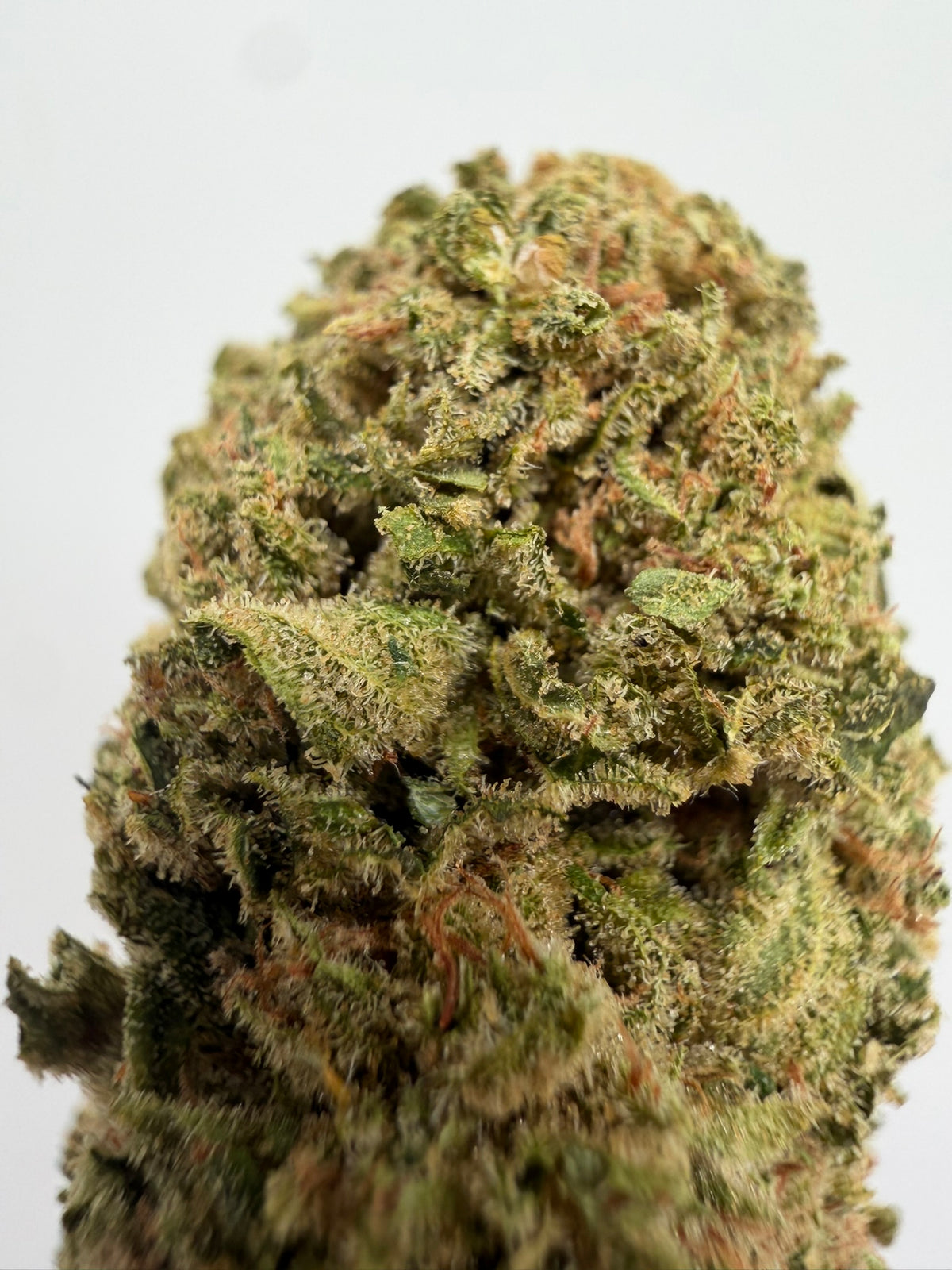 Amnesia CBD Greenhouse – Flor CBD barata